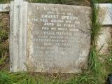image number Specht EFR 05487